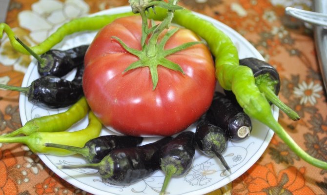 Afşin'de organik gübreyle verim ikiye katlandı