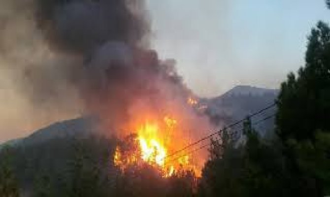 Hatay'daki orman yangınına Kahramanmaraş'tan müdahale