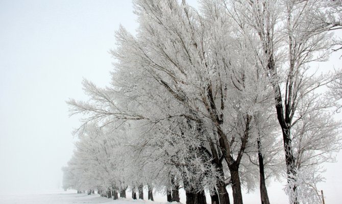 Dikkat kar geliyor !