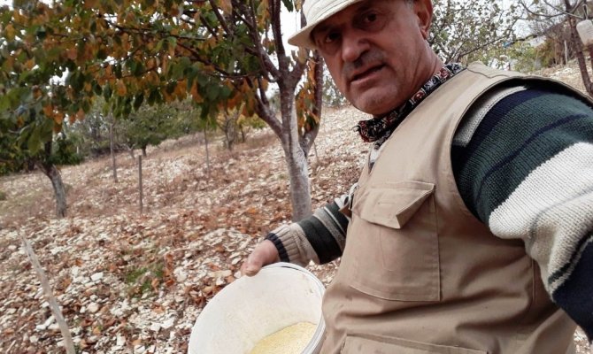 Doğada aç kalan hayvanlara yemlik bıraktı