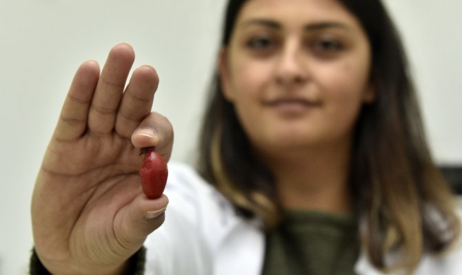 100 gramı bir kasa portakala eşdeğer