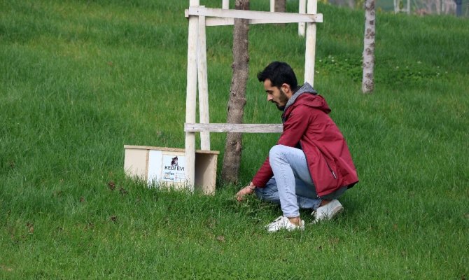 Kahramanmaraşlı gençler yaptıkları proje ile kedileri ısıttı