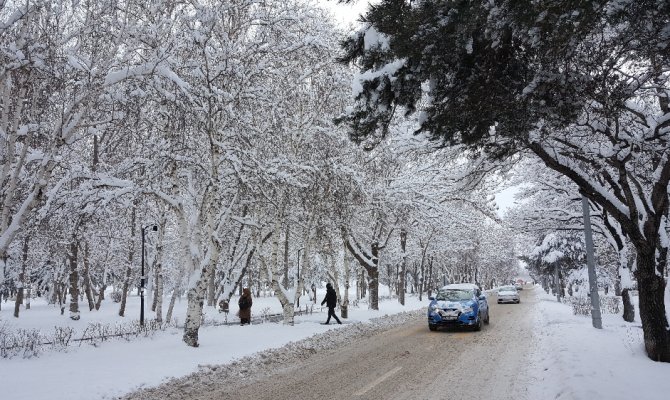 Eksi 23 derece de hayat