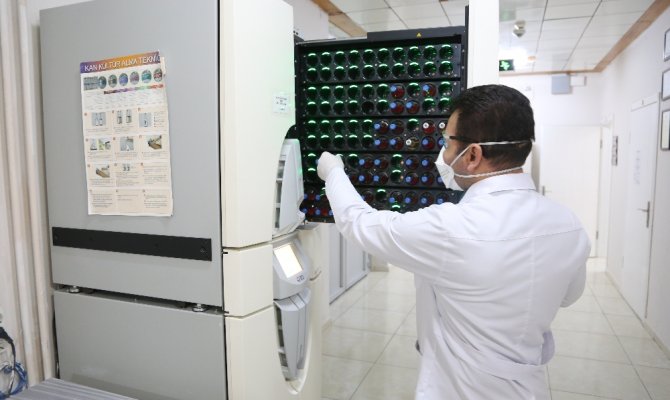 Yerli kene aşısı geliyor