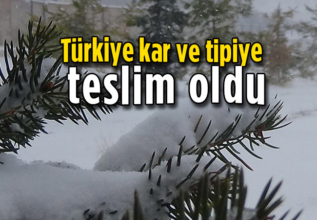 Türkiye kar ve tipiye teslim oldu