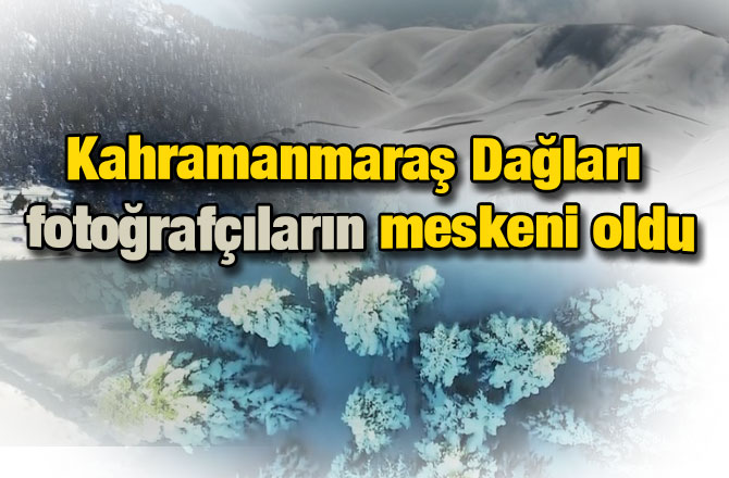 Kahramanmaraş Dağları fotoğrafçıların meskeni oldu