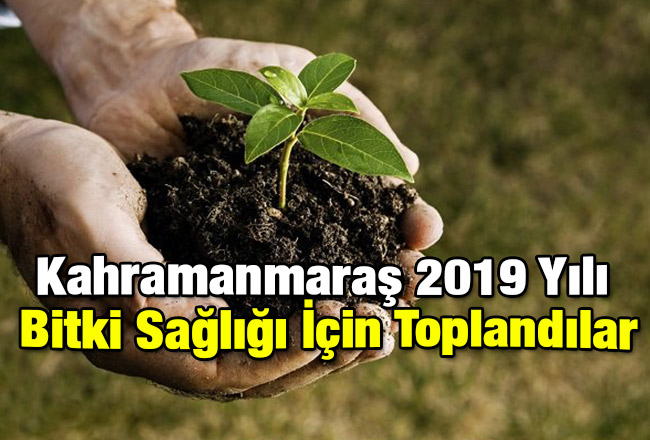 Kahramanmaraş 2019 Yılı Bitki Sağlığı İçin Toplandılar