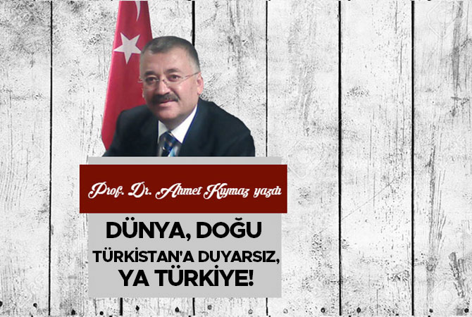 Dünya, Doğu Türkistan'a Duyarsız, Ya Türkiye!