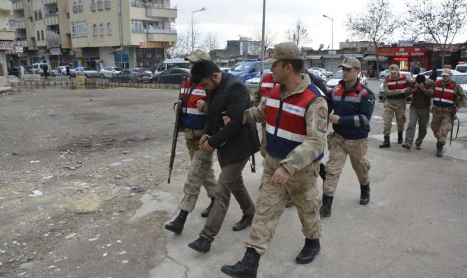 O caniler yakalandı
