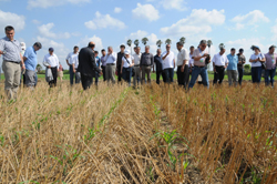 Toprak İşlemesiz Tarım Geliştiriliyor  