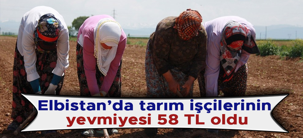 Elbistan’da tarım işçilerinin yevmiyesi 58 TL oldu