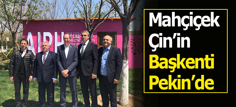 Mahçiçek Çin’in Başkenti Pekin’de