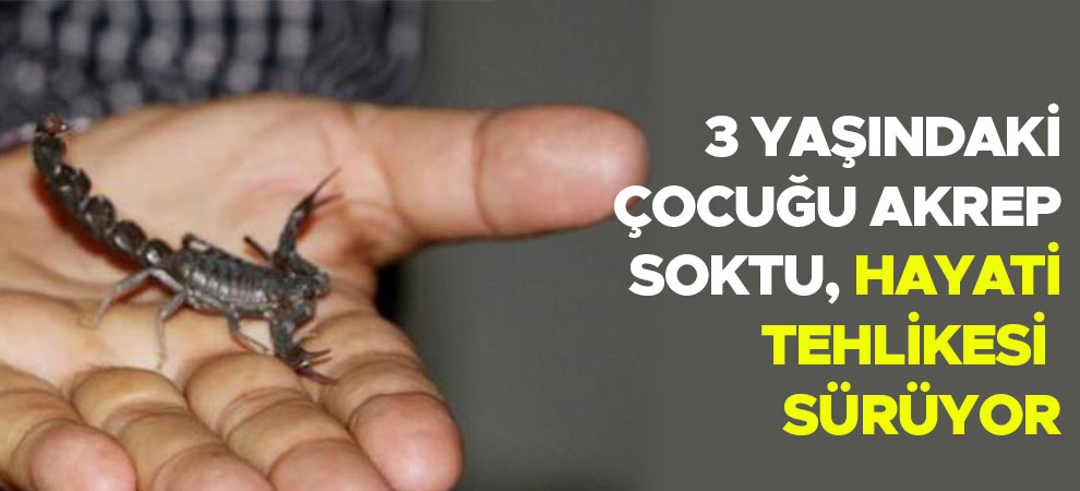 3 yaşındaki çocuğu akrep soktu, hayati tehlikesi sürüyor
