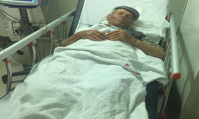 Hayvanlarını otlatırken yılan soktu