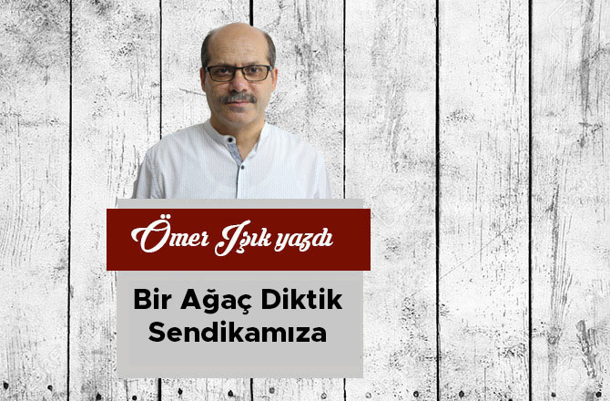 Bir Ağaç Diktik Sendikamıza