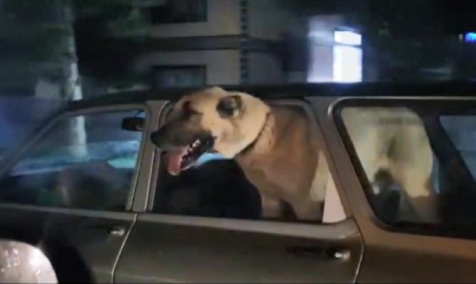 Kayseri trafiğinde dikkat çeken görüntü