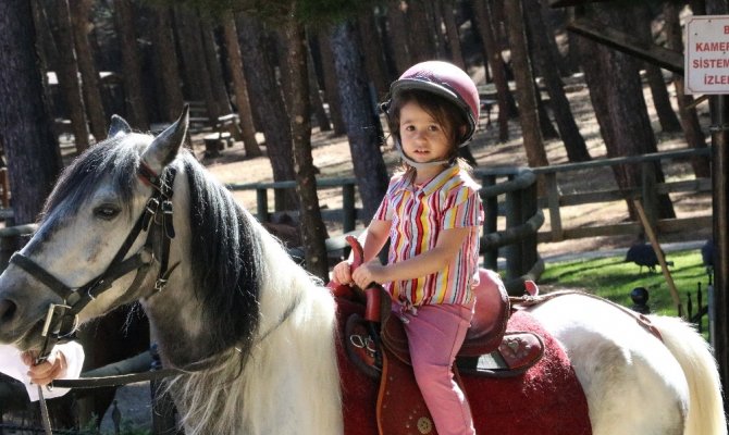 Kahramanmaraş’ta mini hayvanat parkı misafirlerini ağırlıyor