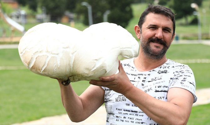 7 kilo 125 gramlık dev mantar bulundu