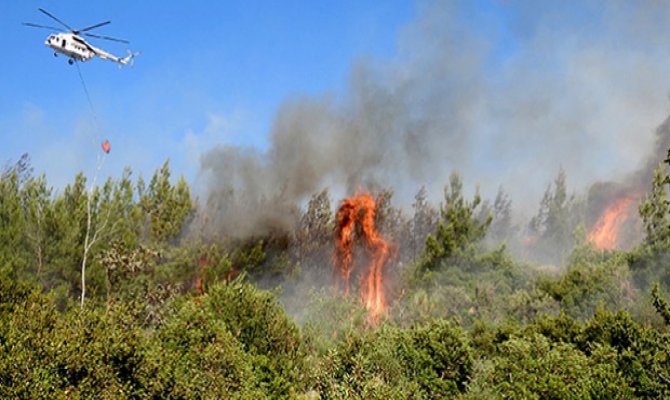 Kahramanmaraş'ta otluk ve çalılık alan yandı