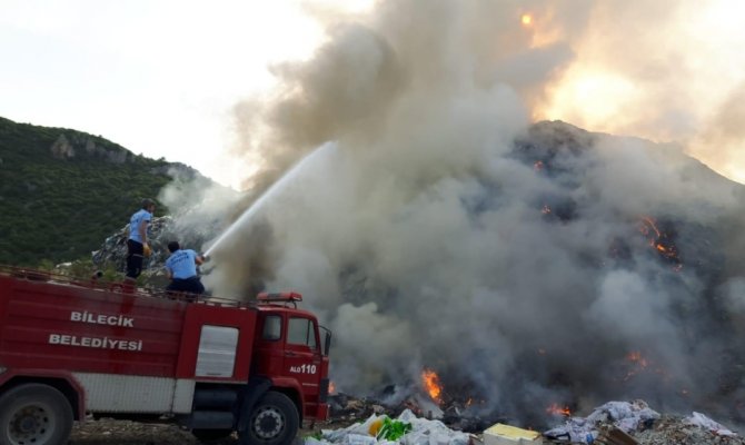 Anne köpek yavrusunu alevlerin arasından kurtardı