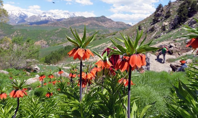 Ters laleleri toplayanlara 180 bin lira idari para cezası