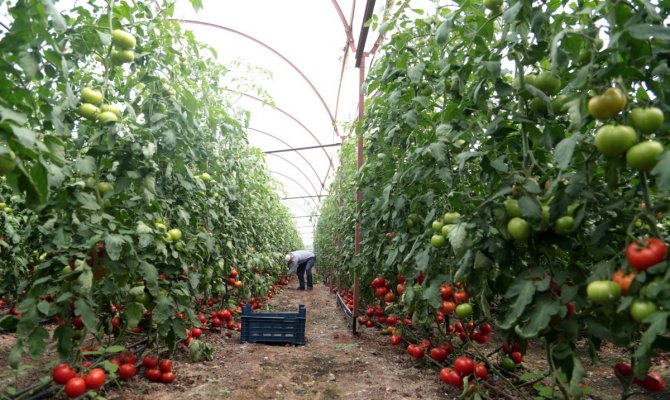 Serayla köye göçtüler şimdi de OSB kuracaklar