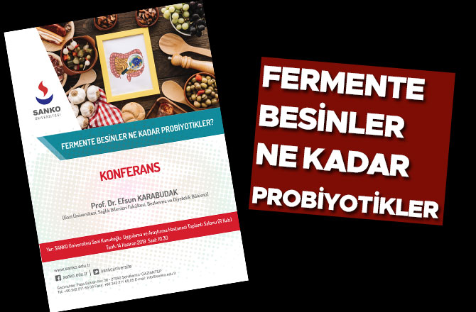 Fermente Besinler Ne Kadar Probiyotikler