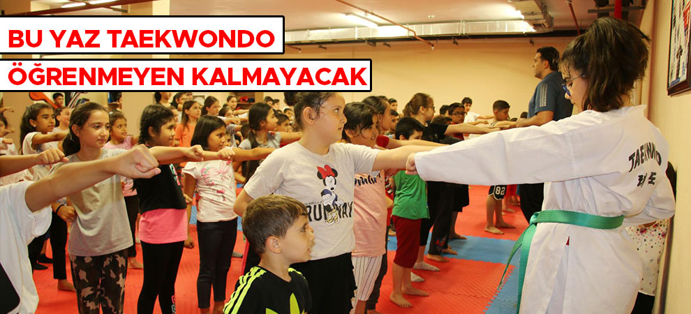 Bu yaz Taekwondo öğrenmeyen kalmayacak