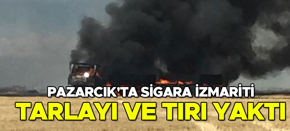 Pazarcık'ta sigara izmariti tarlayı ve tırı yaktı