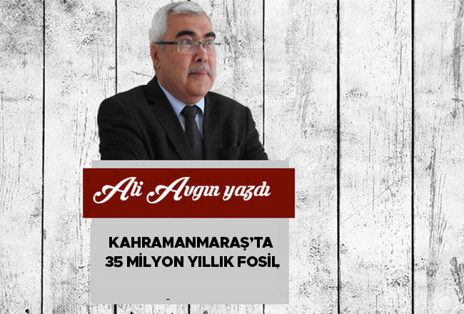 Kahramanmaraş’ta 35 Milyon Yıllık Fosil