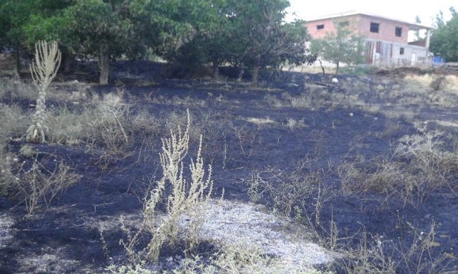 Afşin’de orman yangını büyümeden söndürüldü