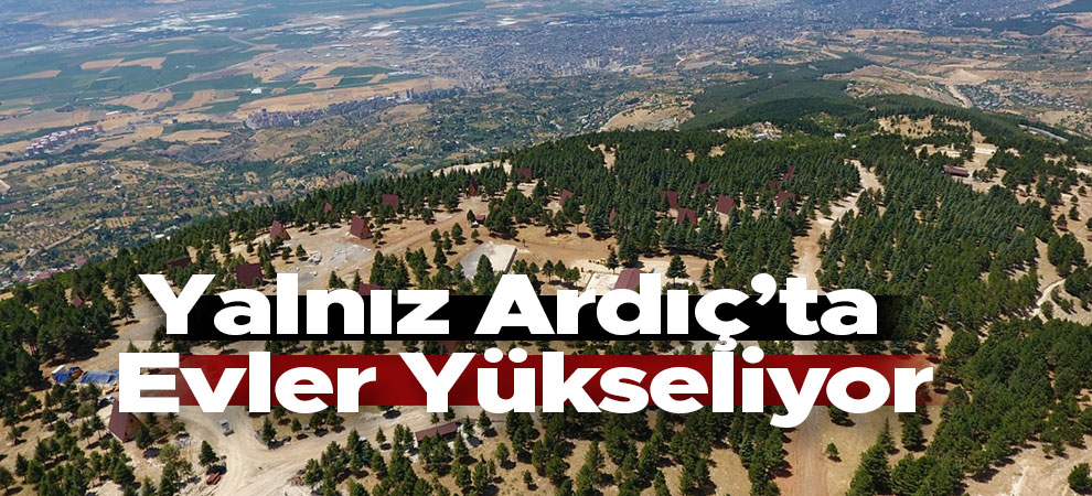 Yalnız Ardıç’ta Evler Yükseliyor