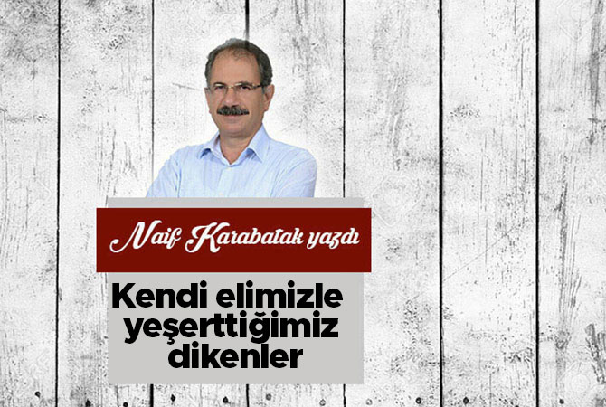 Kendi elimizle yeşerttiğimiz dikenler