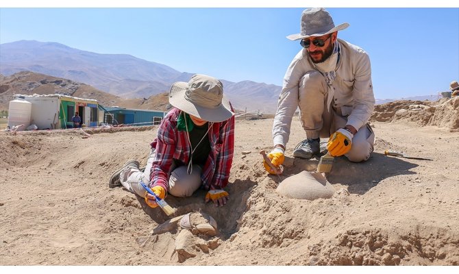 Van'da Urartu aristokratlarının mezarlığı bulundu