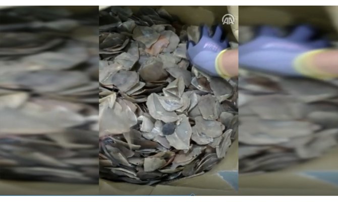 İstanbul Havalimanı'nda 1,2 ton pangolin pulu ele geçirildi