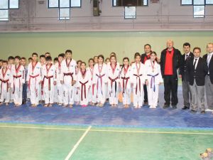 Giresun Minikler Taekwondo İl Birinciliği Yapıldı