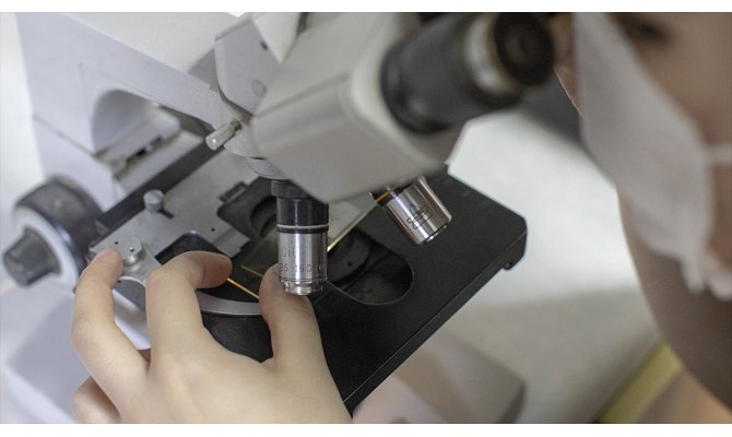 Türk bilim insanları 4 ölümcül virüs buldu