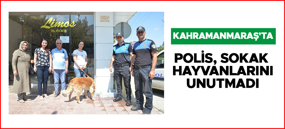 Kahramanmaraş'ta polis, sokak hayvanlarını unutmadı