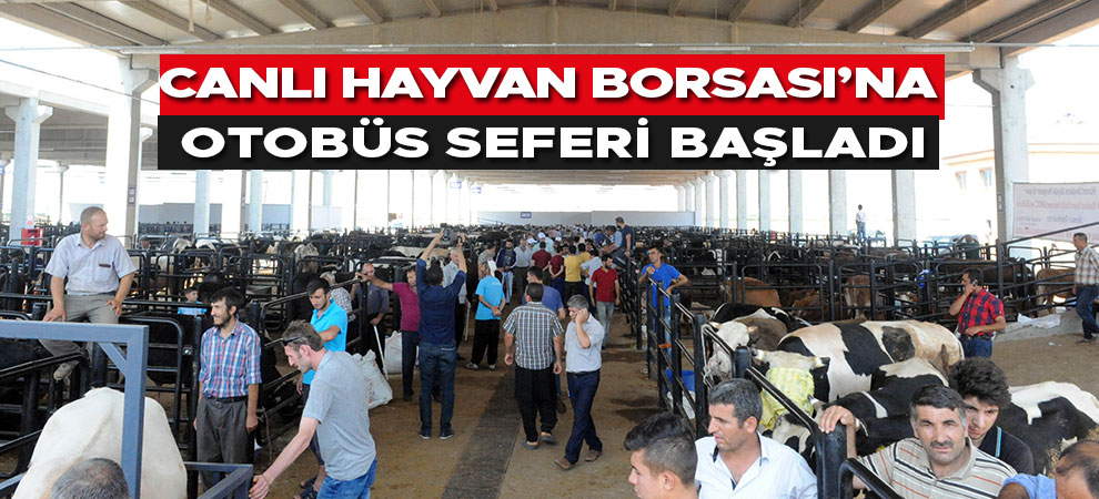 Canlı Hayvan Borsası’na otobüs seferi başladı