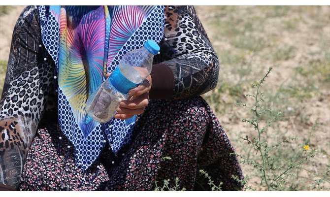 Tarladan nohut aldı, parasını pet şişe içinde bıraktı