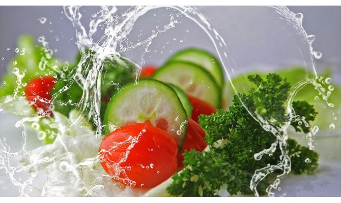 Bitki odaklı beslenme küresel ısınmada kilit rol oynuyor