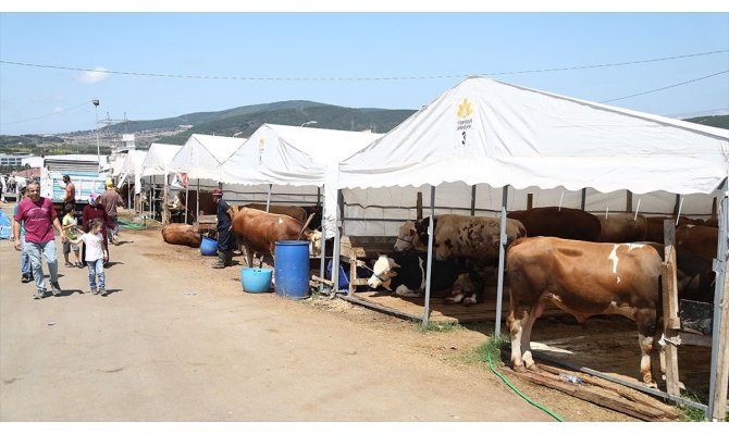 Sultanbeyli'deki kurban kesim alanı bayrama hazır