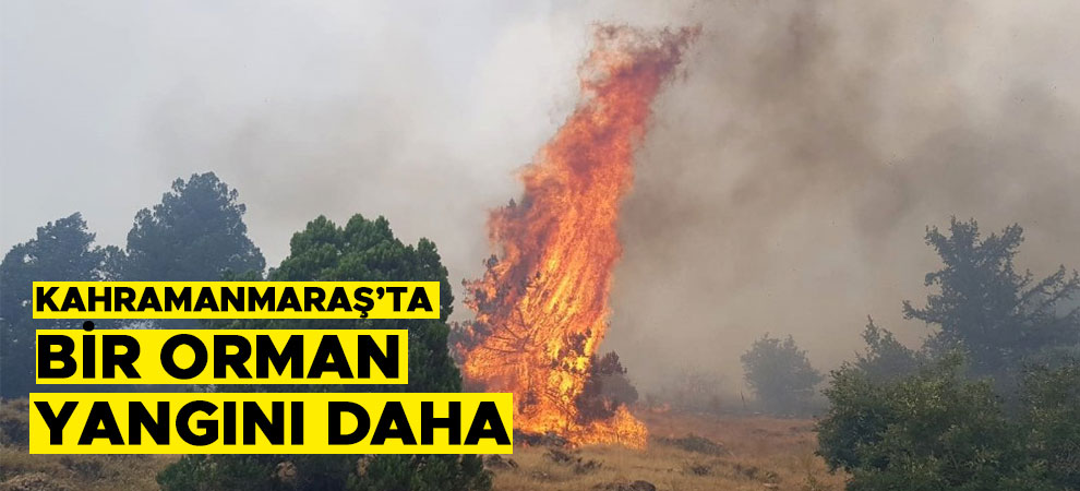 Kahramanmaraş’ta bir orman yangını daha