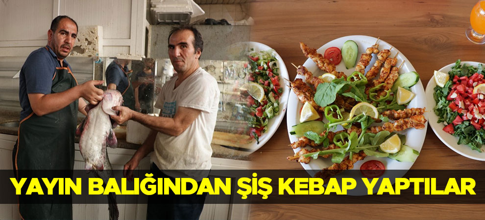 Kahramanmaraş'ta yayın balığından şiş kebap yaptılar
