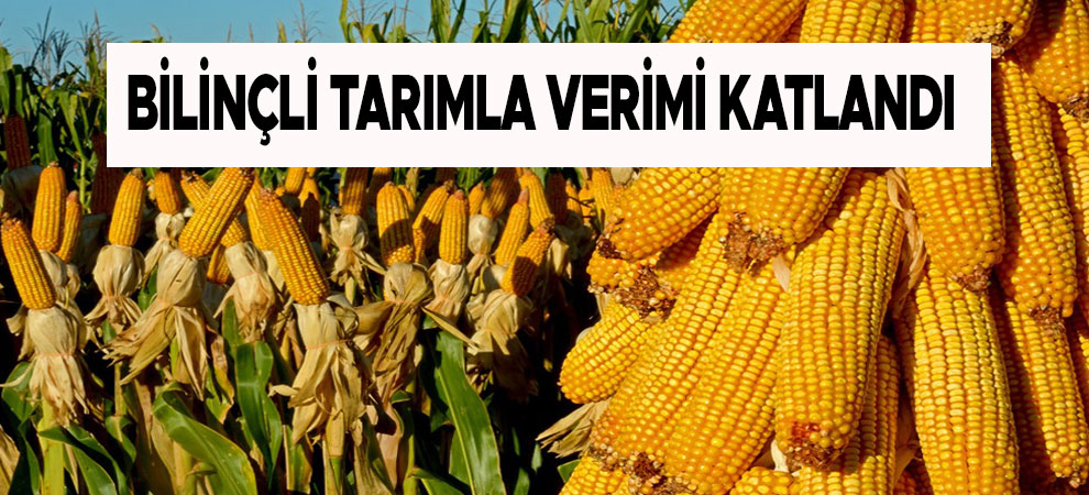 Bilinçli Tarımla Verimi Katlandı