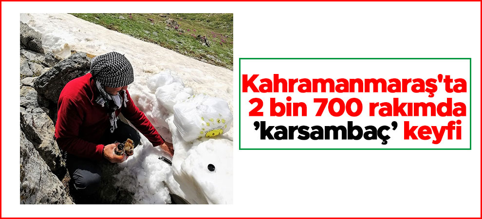 Kahramanmaraş'ta 2 bin 700 rakımda ’karsambaç’ keyfi