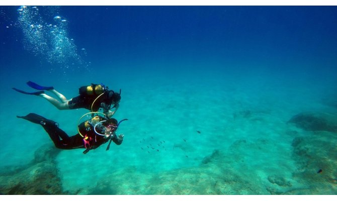 Akdeniz tropikleşiyor, zehirli balıklar çoğalıyor
