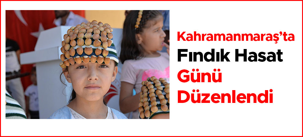 Kahramanmaraş’ta Fındık Hasat Günü Düzenlendi