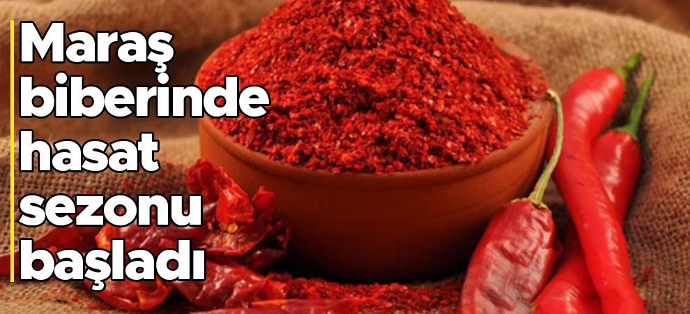Maraş biberinde hasat sezonu başladı