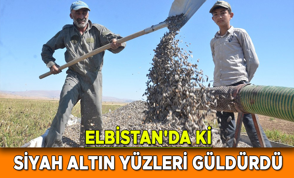Elbistan'da ki Siyah Altın Yüzleri Güldürdü